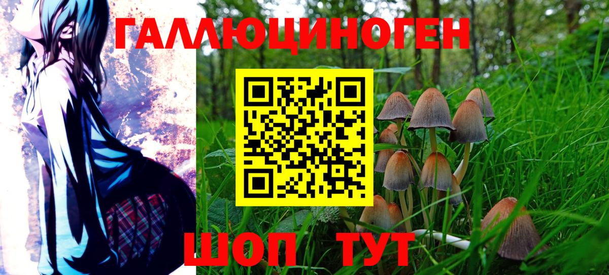 Псилоцибиновые грибы мухоморы  Вход с VPN  Новый Уренгой 